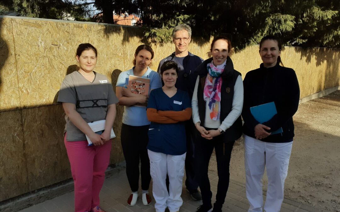 Courses in Hungarian